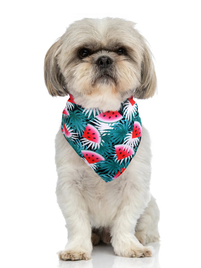 1Pcs Summer Dog Bandana Dogs Pet Supplies Fruit Printing Small Dog Bandanas Scarf  Mini Dogs Puppy Bibs Dog Grooming Accessories